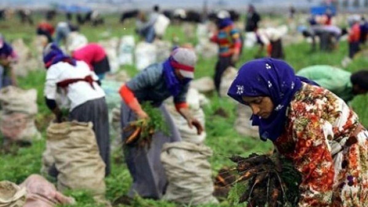6,5 milyon işçi için düğmeye basıldı!