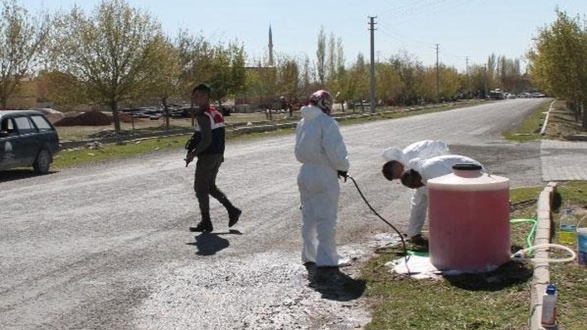 Niğde'de kuş gribi alarmı!