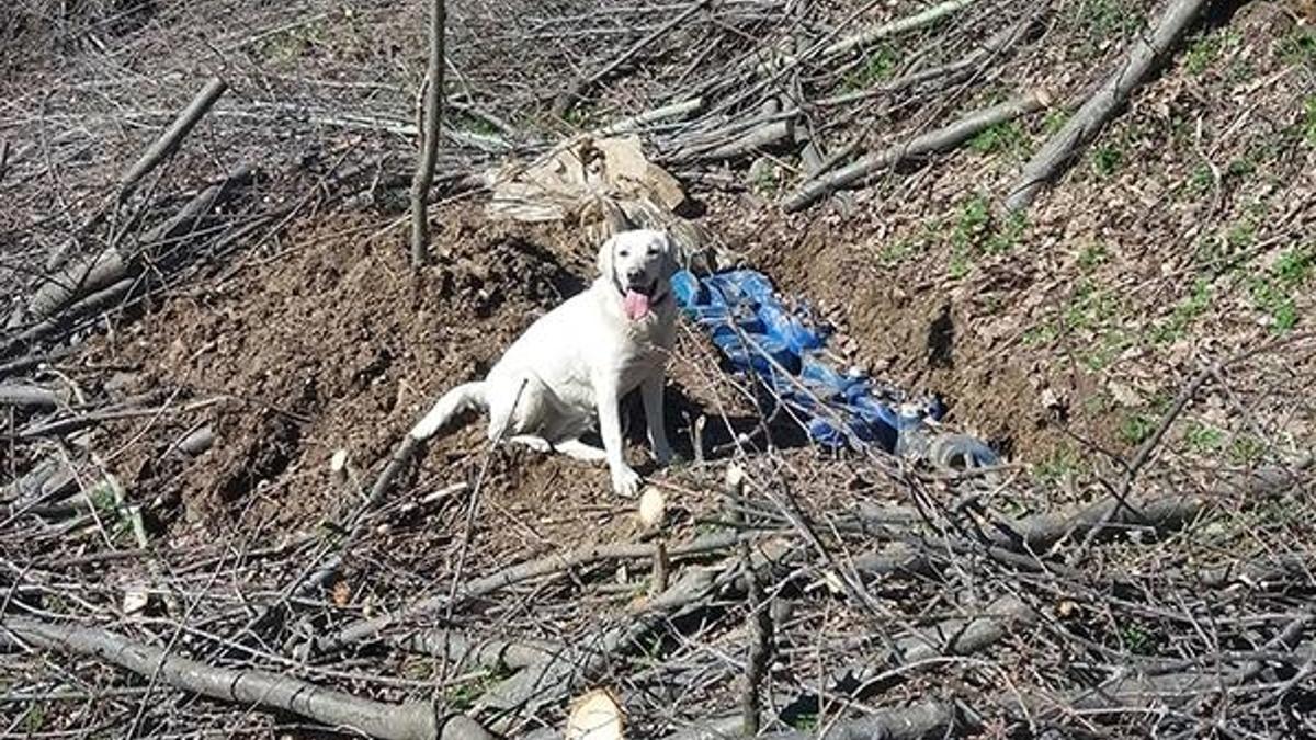 Bitlis'te PKK'ya ait 2 ton patlayıcı imha edildi