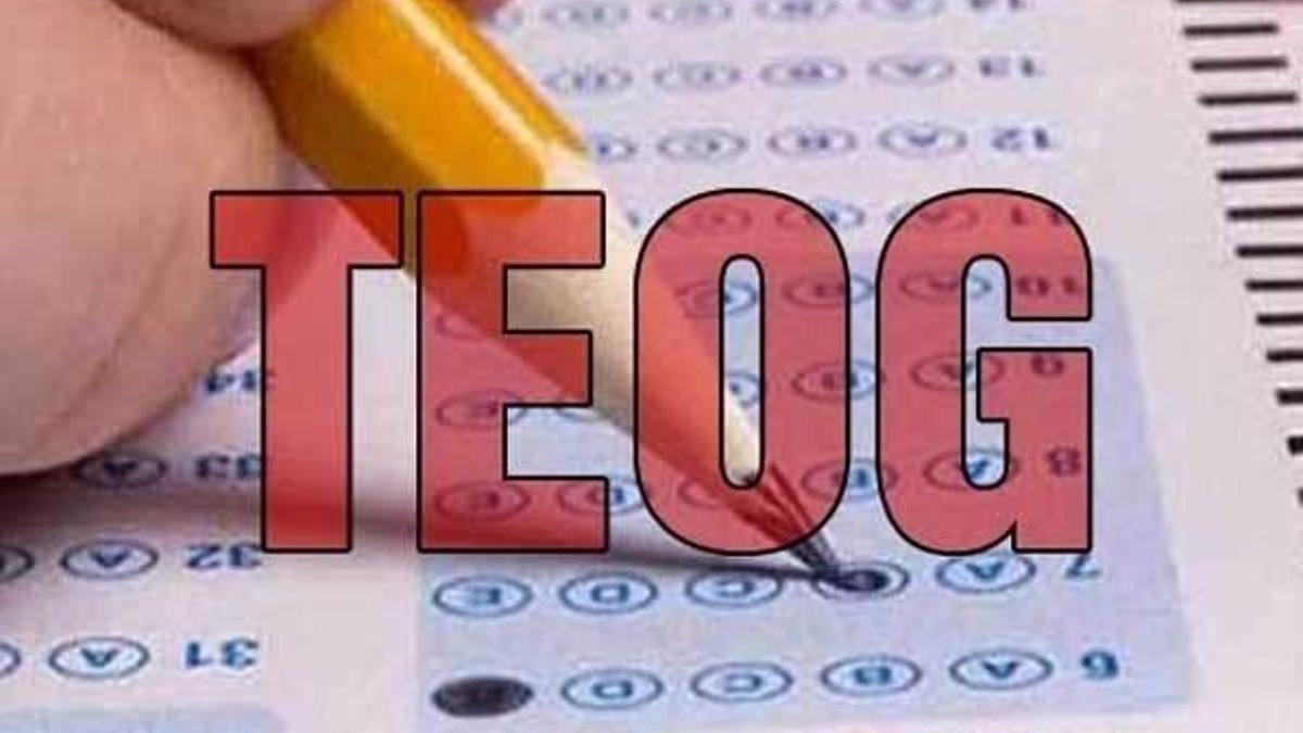 TEOG soru ve cevapları dün itibariyle yayınlandı!