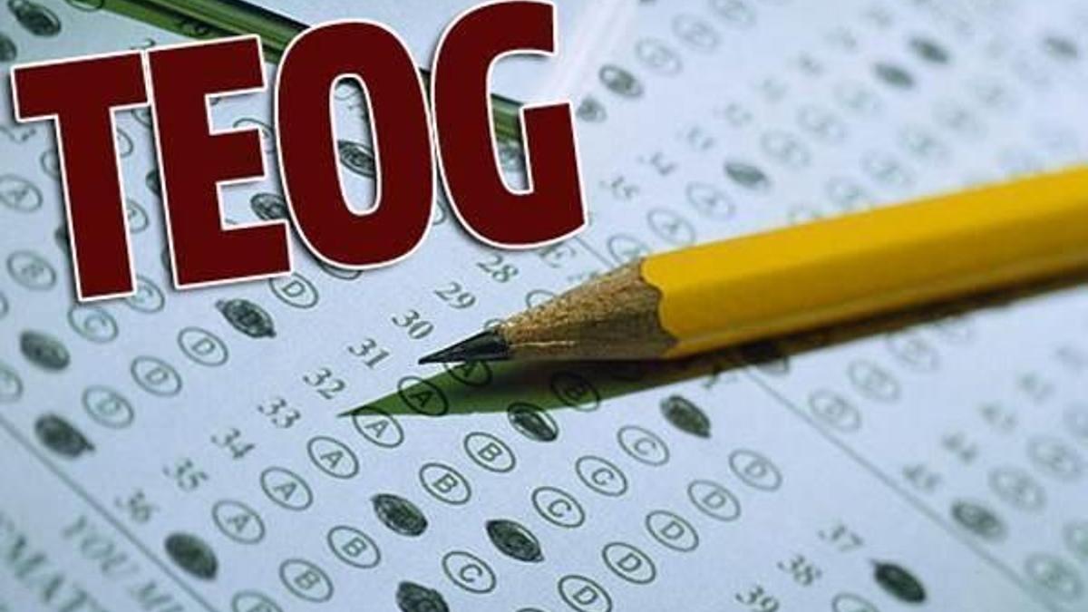 TEOG soru ve cevapları yayında! EBA üzerinden TEOG sorgulama...