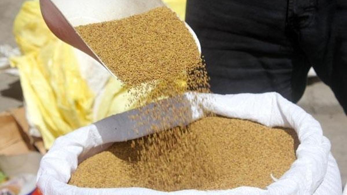 Yoncanın fiyatı altınla yarışıyor