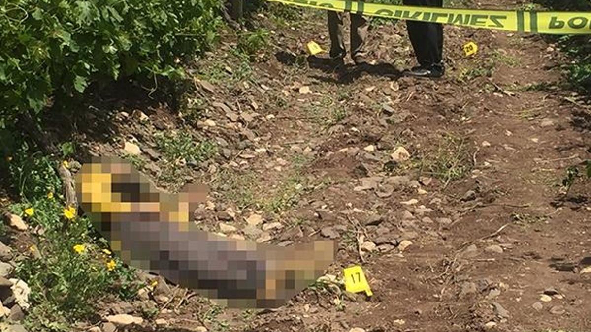 Adana'da aynı günde 6 kişi öldürüldü