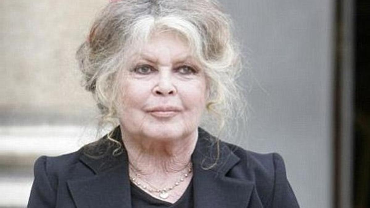 Brigitte Bardot: Macron'a oy vermeyin!
