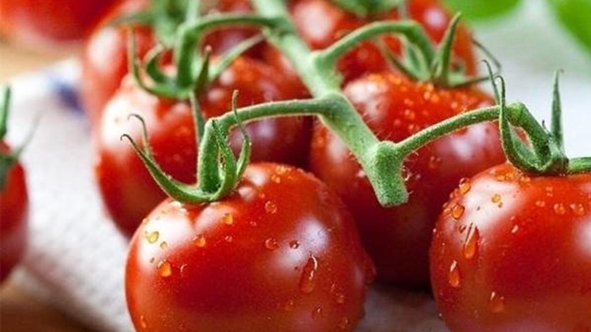 Domatesin sağlığa yararları neler?