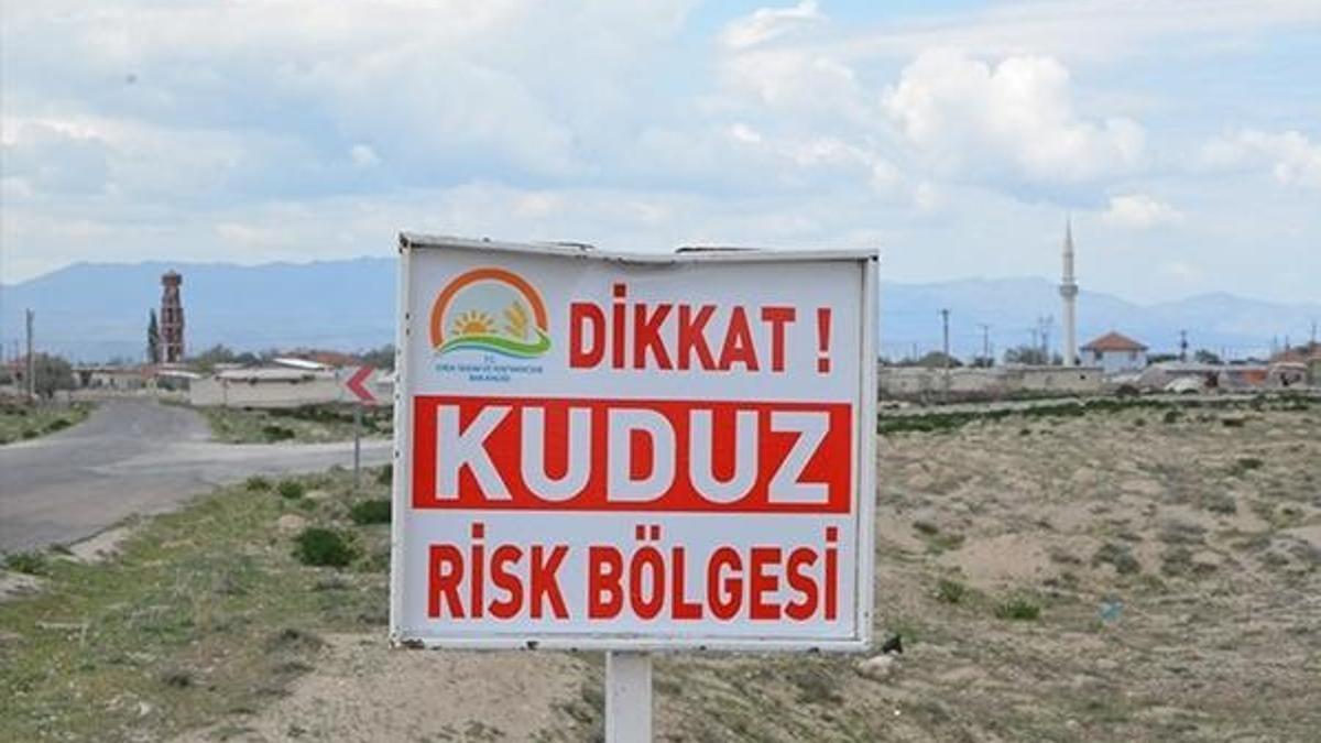 Ereğli'de 'kuduz' paniği
