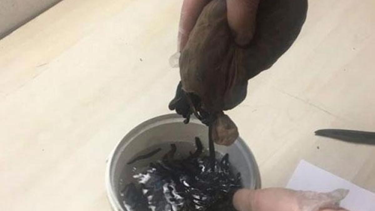 Havalimanında kadın çorapları içerisinde yakalandı