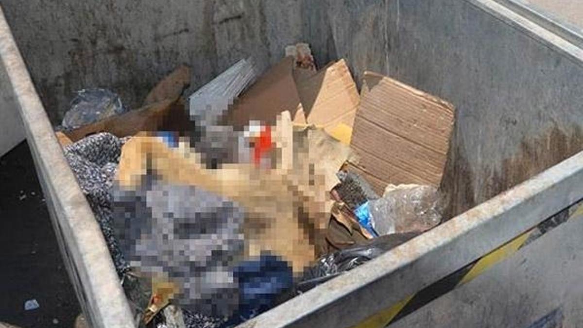 Altı sokak köpeği zehirli iğne ile telef edildi iddiası