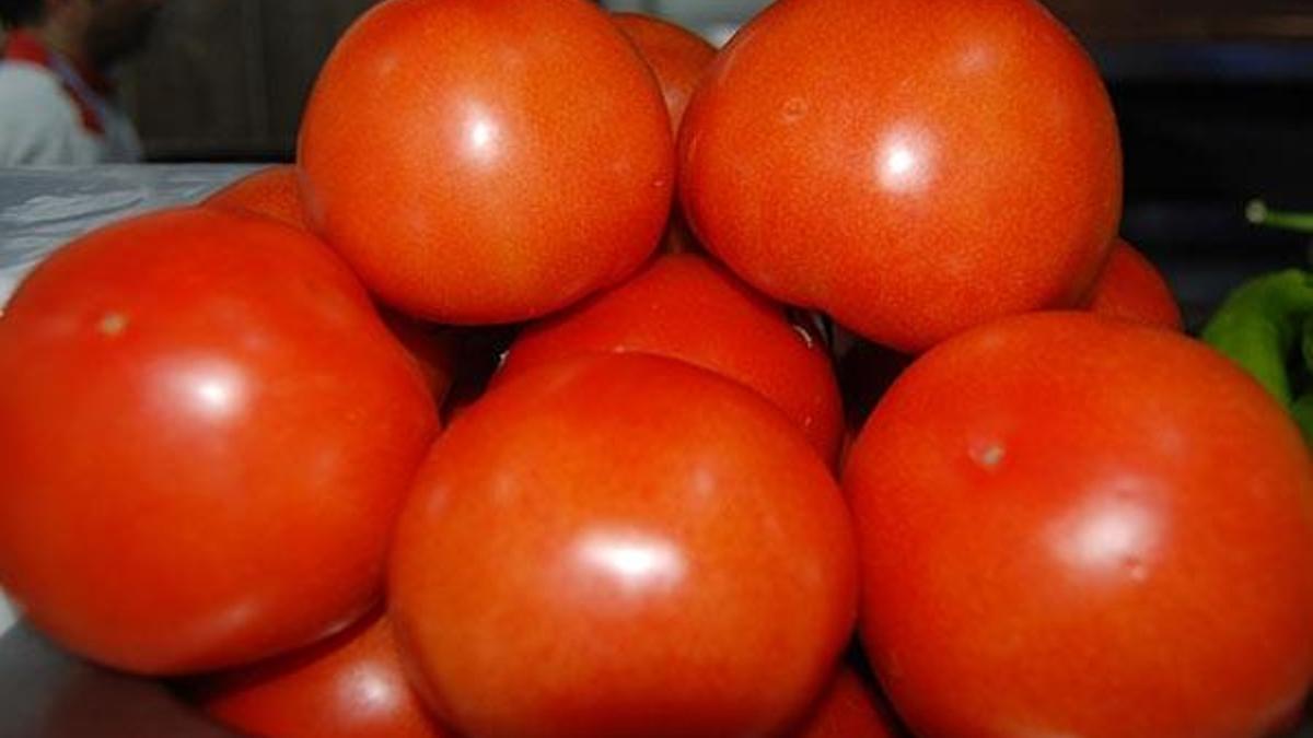 Domatesin ateşi düşüyor