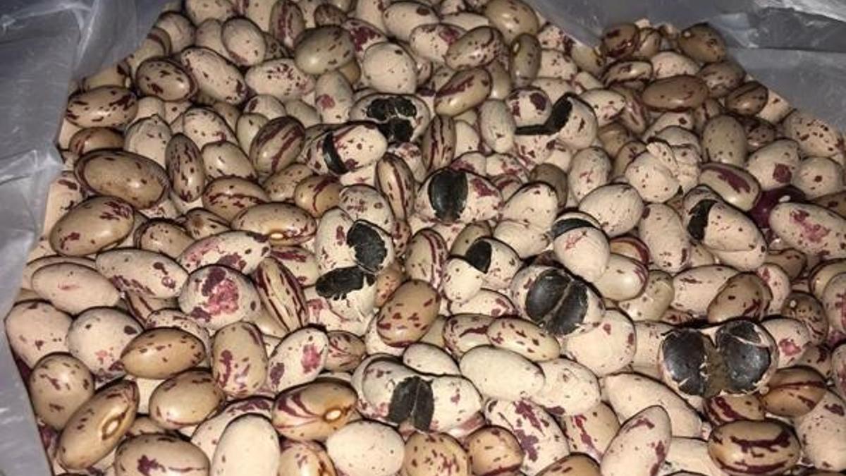 Yurt genelinde uyuşturucu operasyonu! İlk kez ele geçirildi