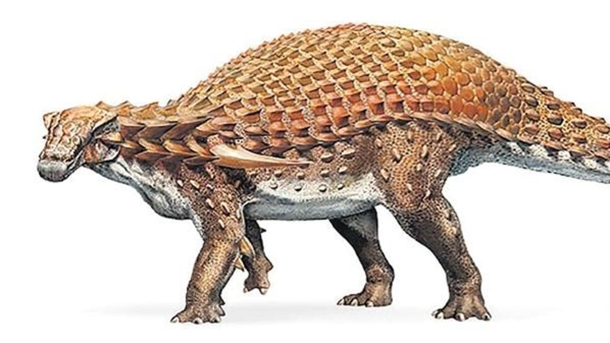 Heykel gibi dinozor fosili