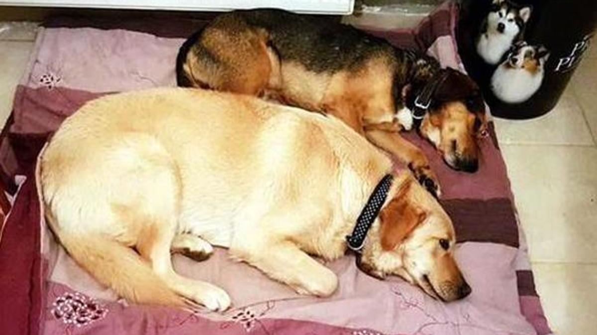 Bodrum'da 'zehirli yiyecek' isyanı