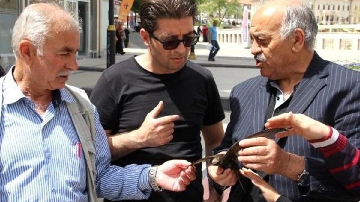Dünyanın en esrarengiz kuşunu bulduklarına inanamadılar