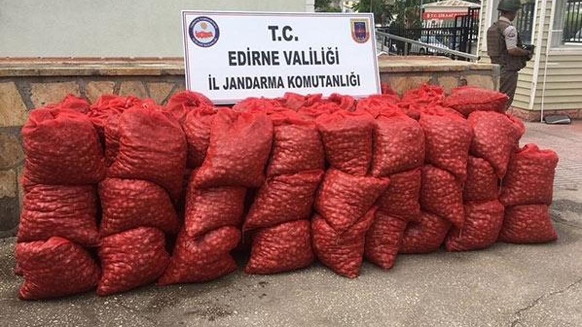Edirne'de 1.6 ton kaçak midye ele geçirildi
