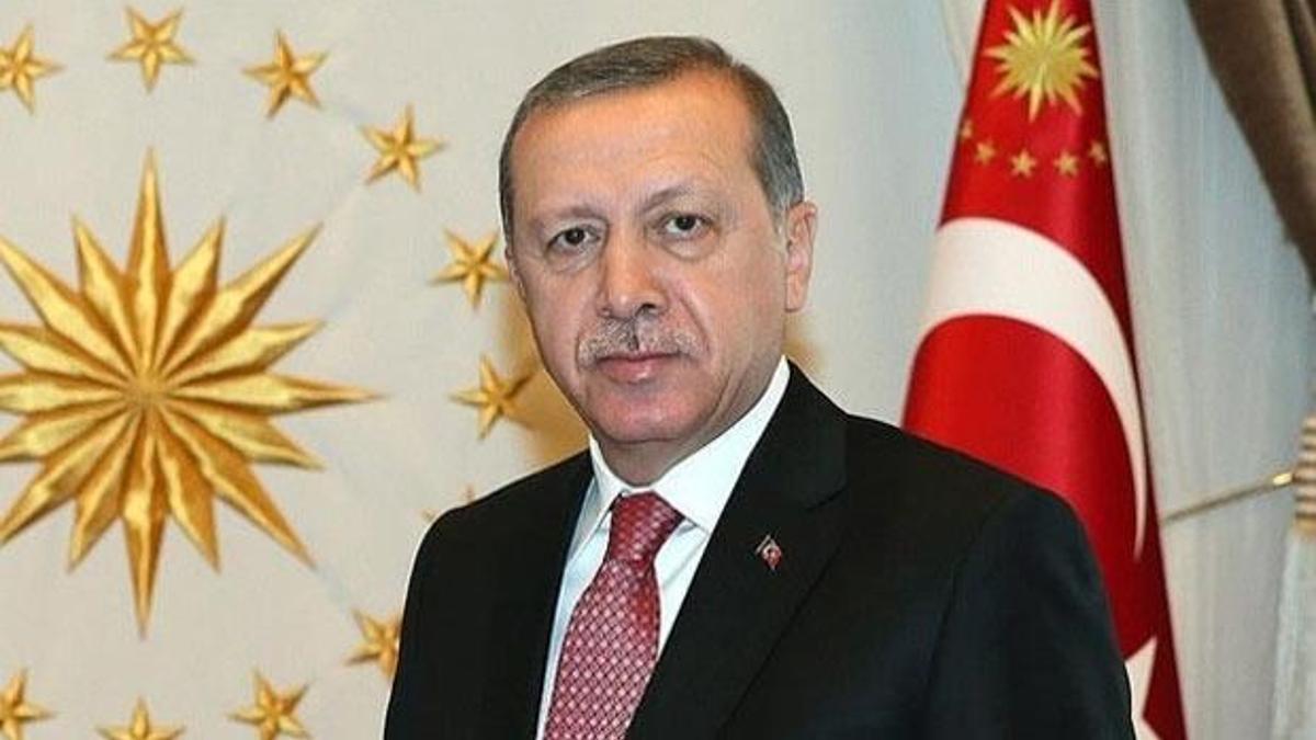 Cumhurbaşkanı Erdoğan'dan milli sporculara tebrik telgrafı