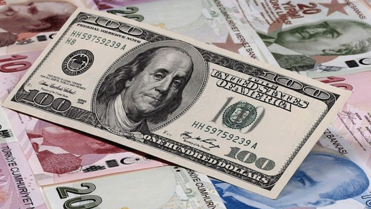 Ünlü yatırımcıdan çarpıcı tahmin! Dolar kaç TL olur?