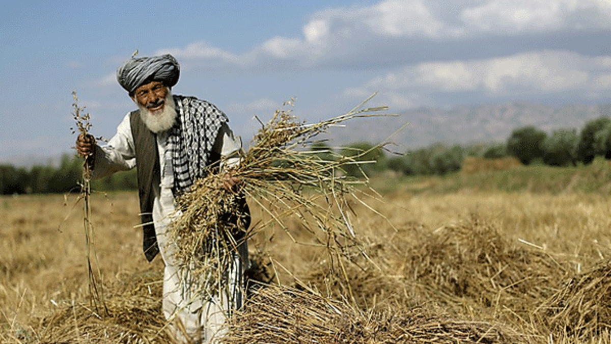 Afganistan'da 9 çiftçiyi kaçırdılar!