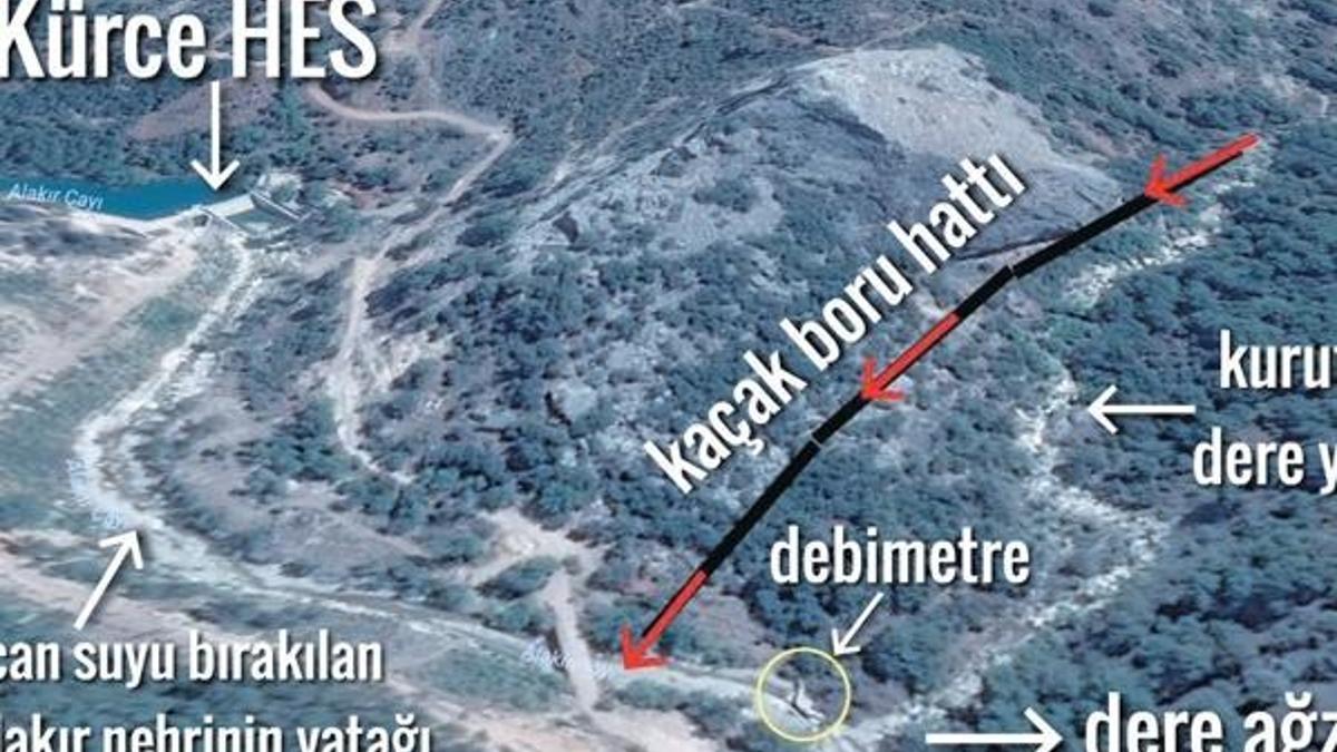 Derenin canını böyle aldılar
