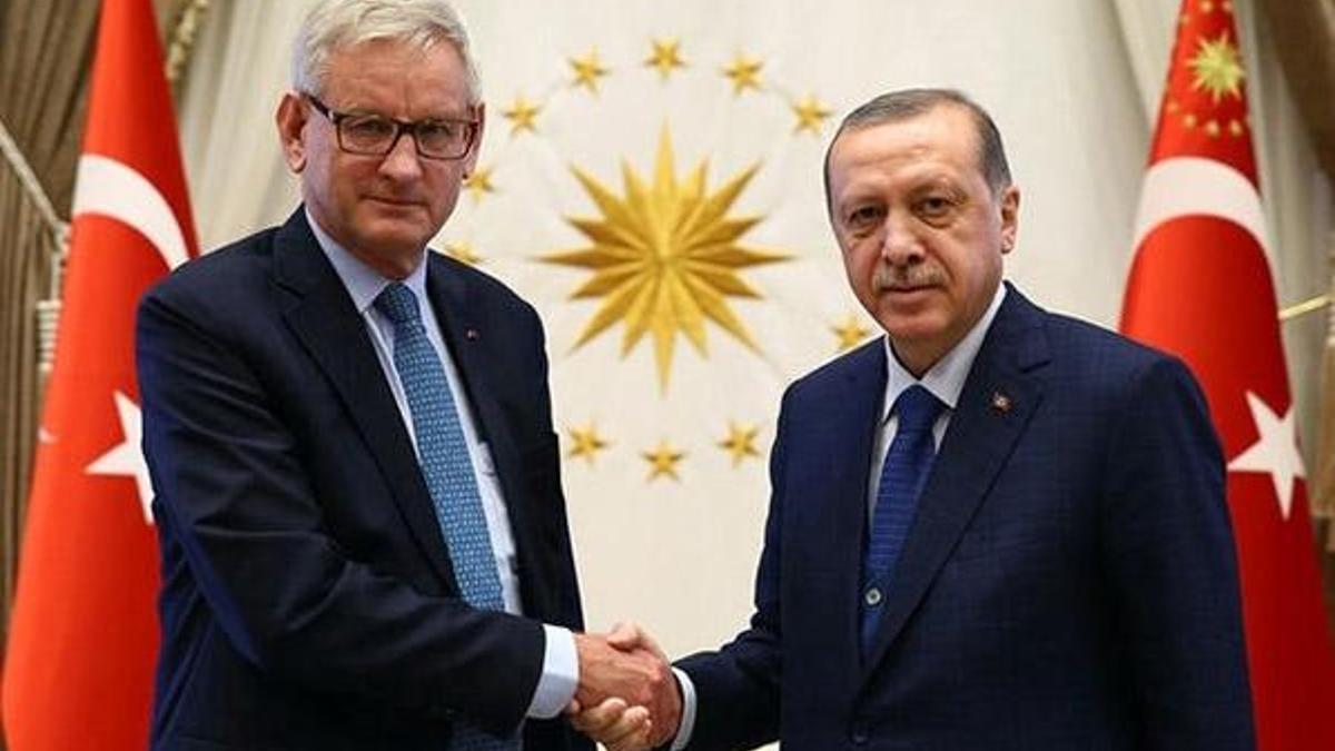 Cumhurbaşkanı Erdoğan, Eş Başkan Bildt'i kabul etti
