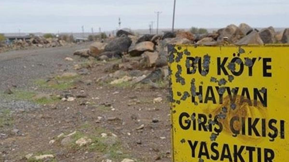 Bursa’da kuduz karantinası