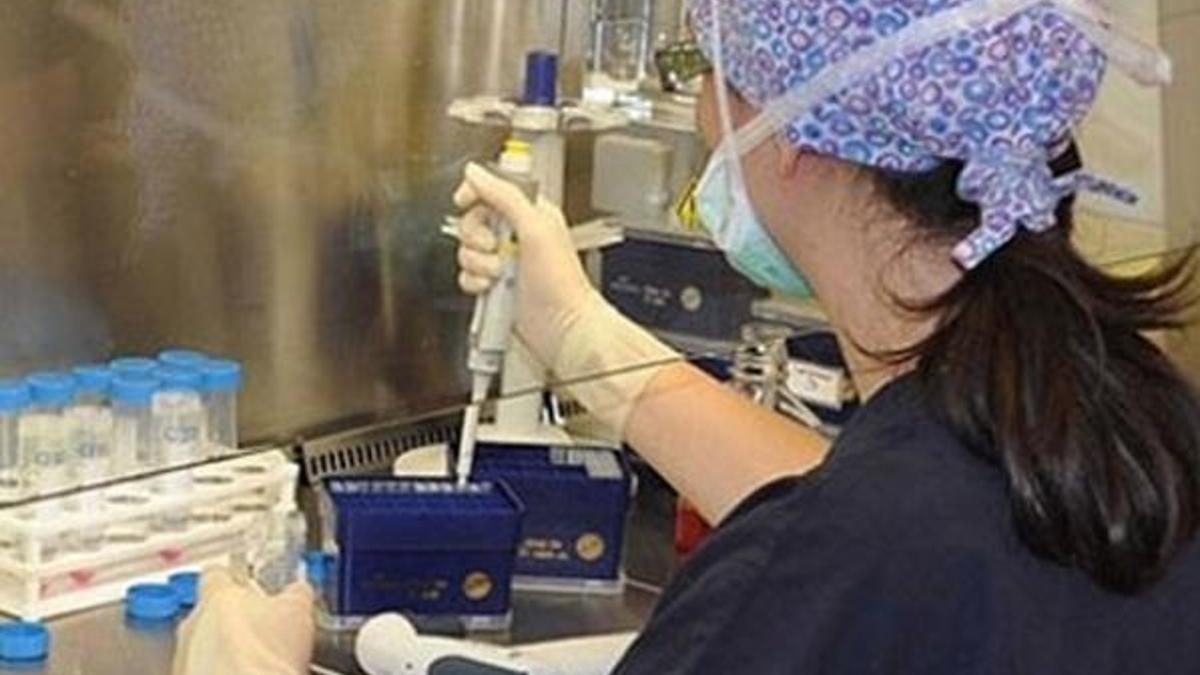 'Süper bakteri'yi öldüren antibiyotik geliştirildi
