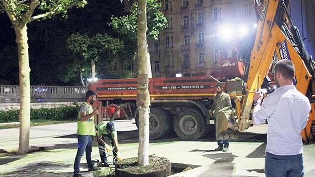 Taksim’de ağaçlandırma çalışmaları tamam...