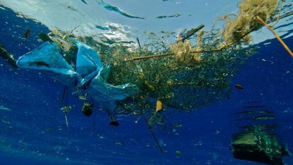 2050'de okyanuslardaki plastik çöpler balıklardan fazla olabilir