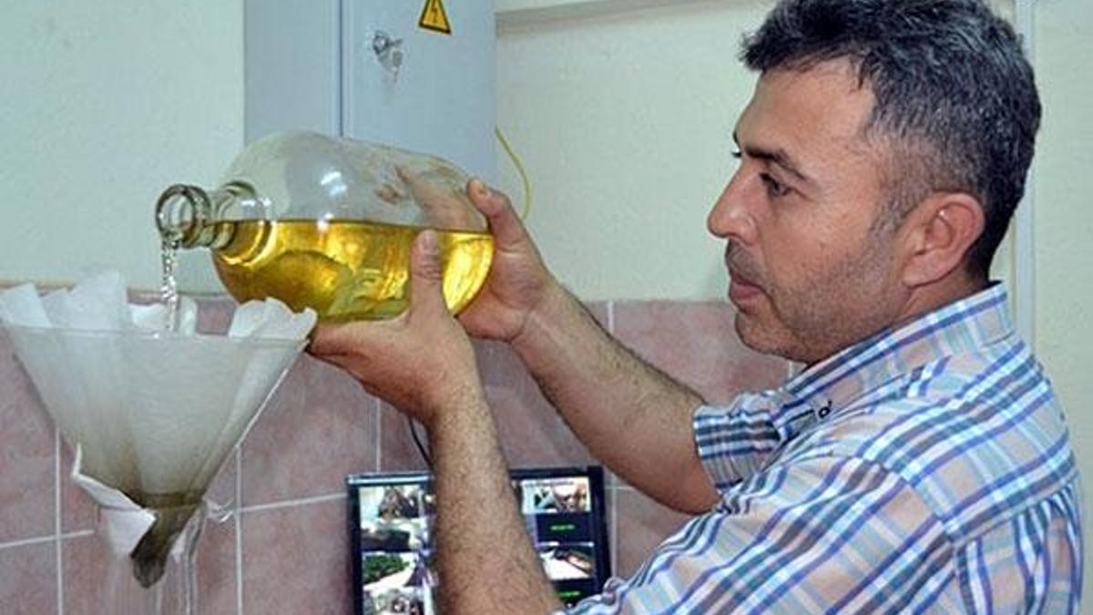 Kilosunu 50 bin TL'ye satıyor!
