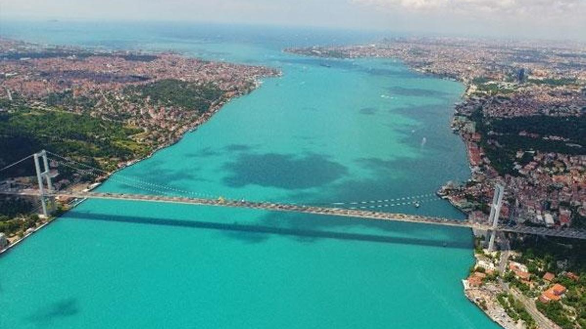 "Marmara'daki renk değişimi balık bolluğuna neden olacak"