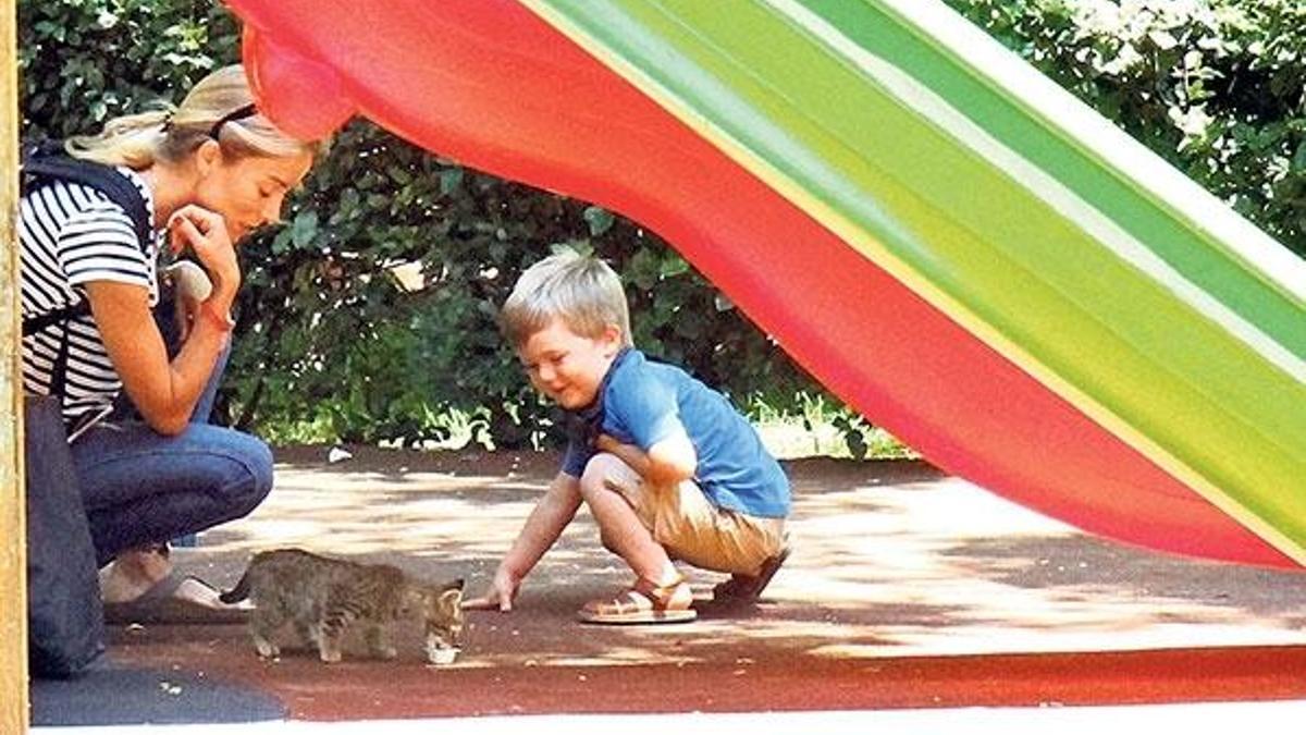 Gişeyi takip etmedim