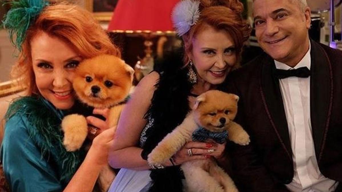 Bu köpeğe ayda 4 bin TL veriliyor!