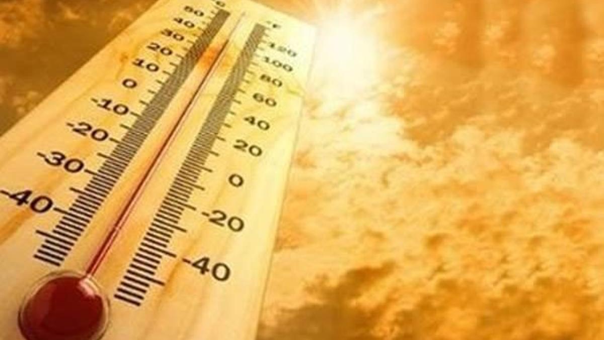 Dünya Meteoroloji Örgütünden rekor sıcak hava uyarısı