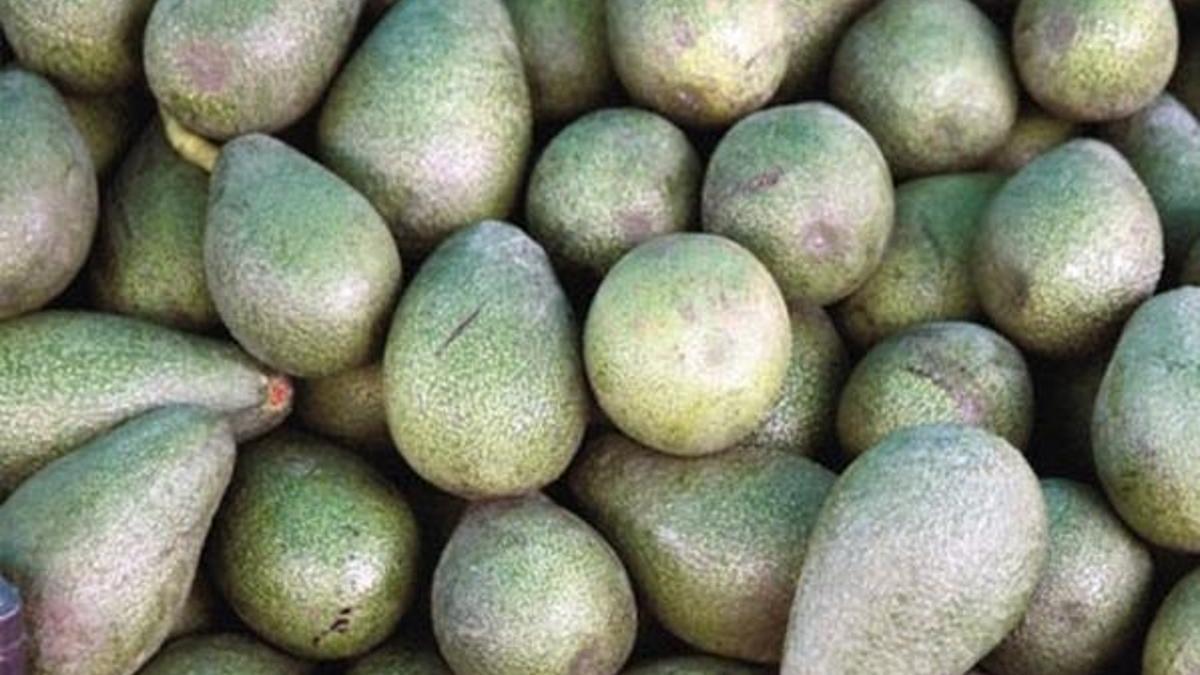 Avokado ve chia iştahı kesiyor!