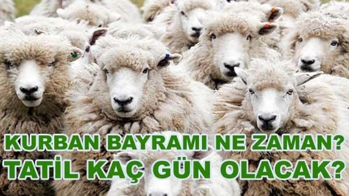 Kurban Bayramı ne zaman? Kurban Bayramı tatili kaç gün sürecek!