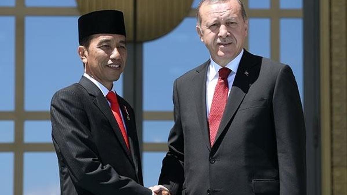 Erdoğan Endonezyalı mevkidaşıyla açıklama yaptı