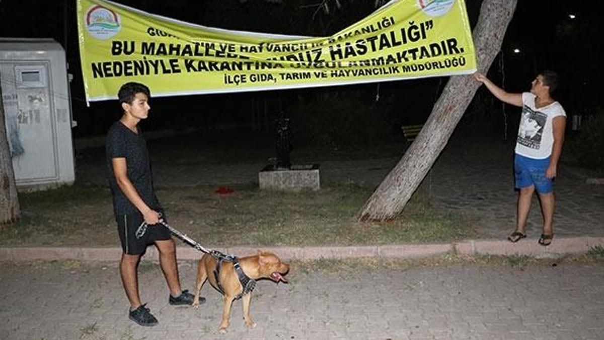 Adana’da, ‘kuduz’ karantinası