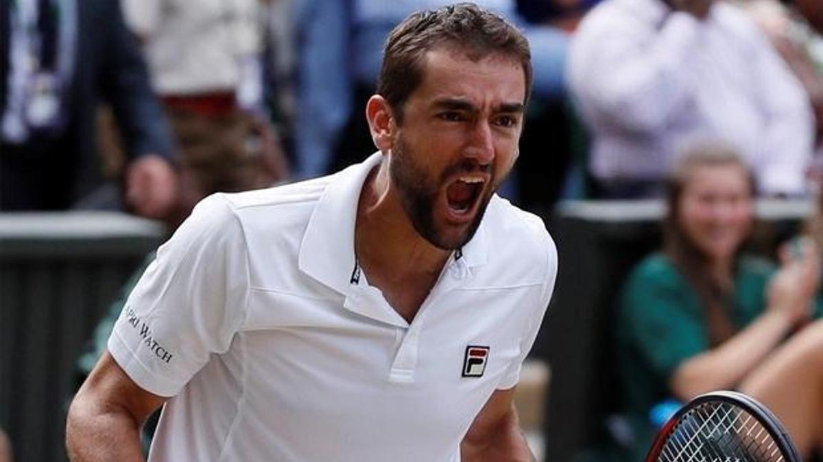 İlk finalist Marin Cilic