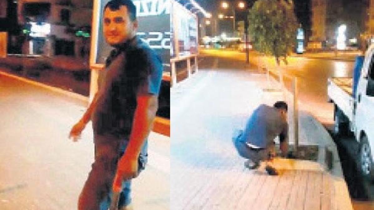 Reklam panosu görünsün diye ağaçları kestiler