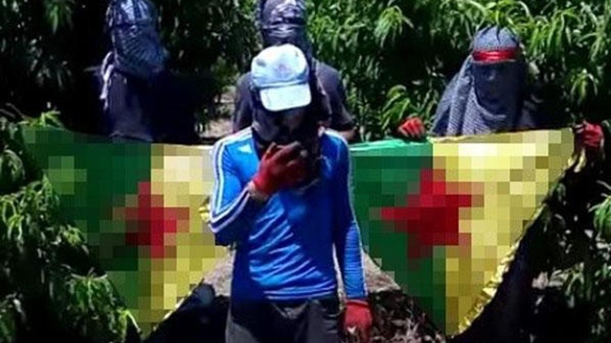 PKK’nın tarla fareleri yakalandı