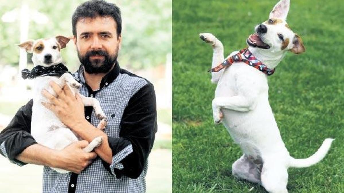 Kendine rol yazdıran köpek Mithril