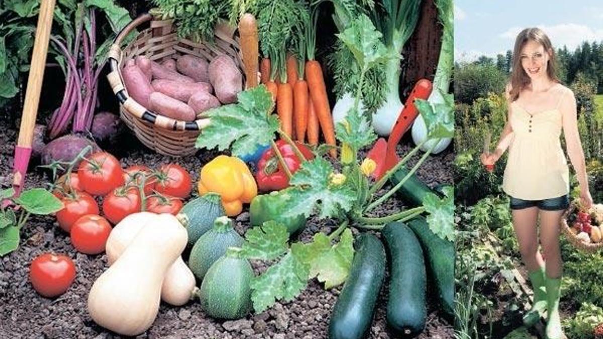 Yeni bahçıvanlar için el kitabı