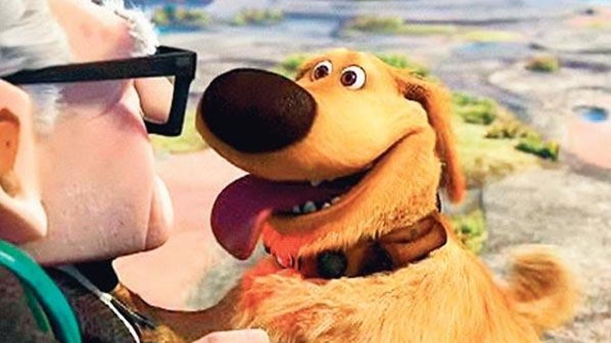 ‘Köpekçe’yi anlayacağız
