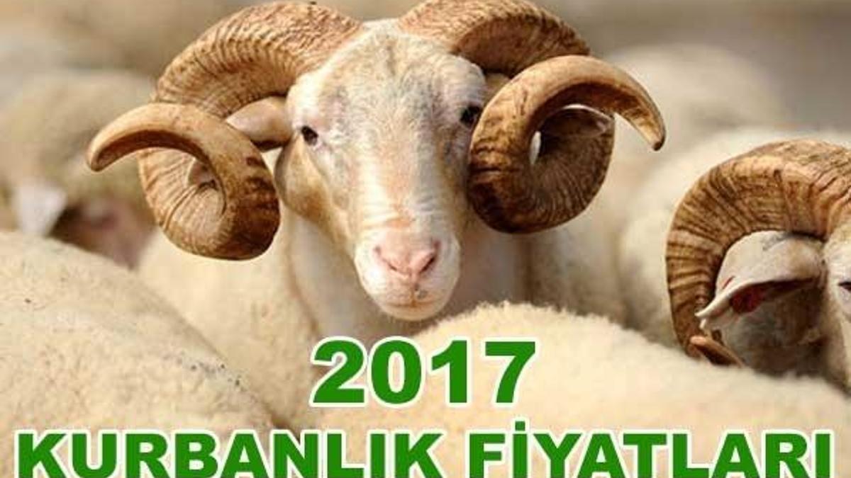Kurban Bayramı tatili ne kadar sürecek? 2017 Kurbanlık fiyatları kaç lira oldu?