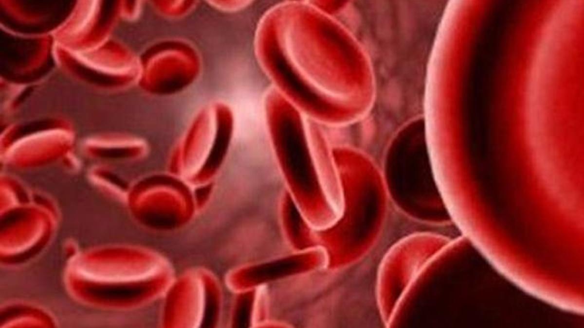 'Hepatit C, 20 yıl içinde yok edilebilir'