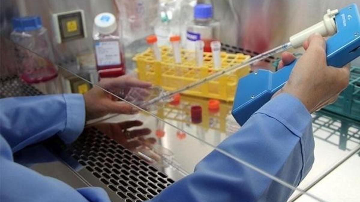 İlk kez insan geni embriyosu değiştirildi!