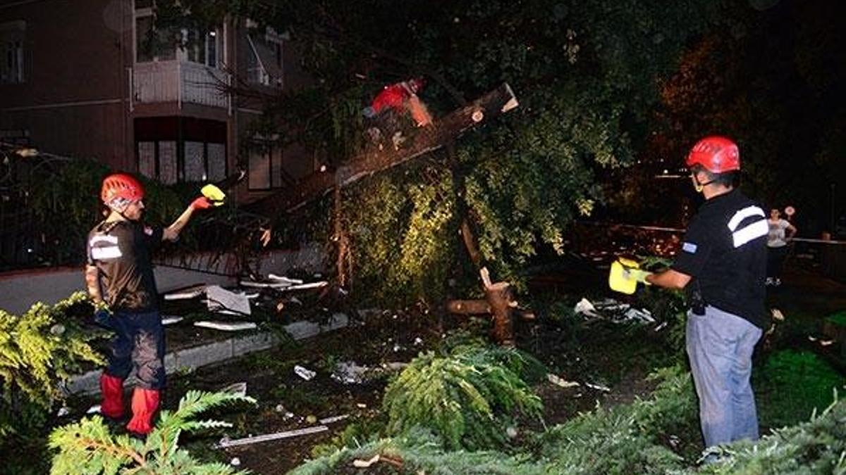 Kadıköy'de yüzlerce ağaç devrildi