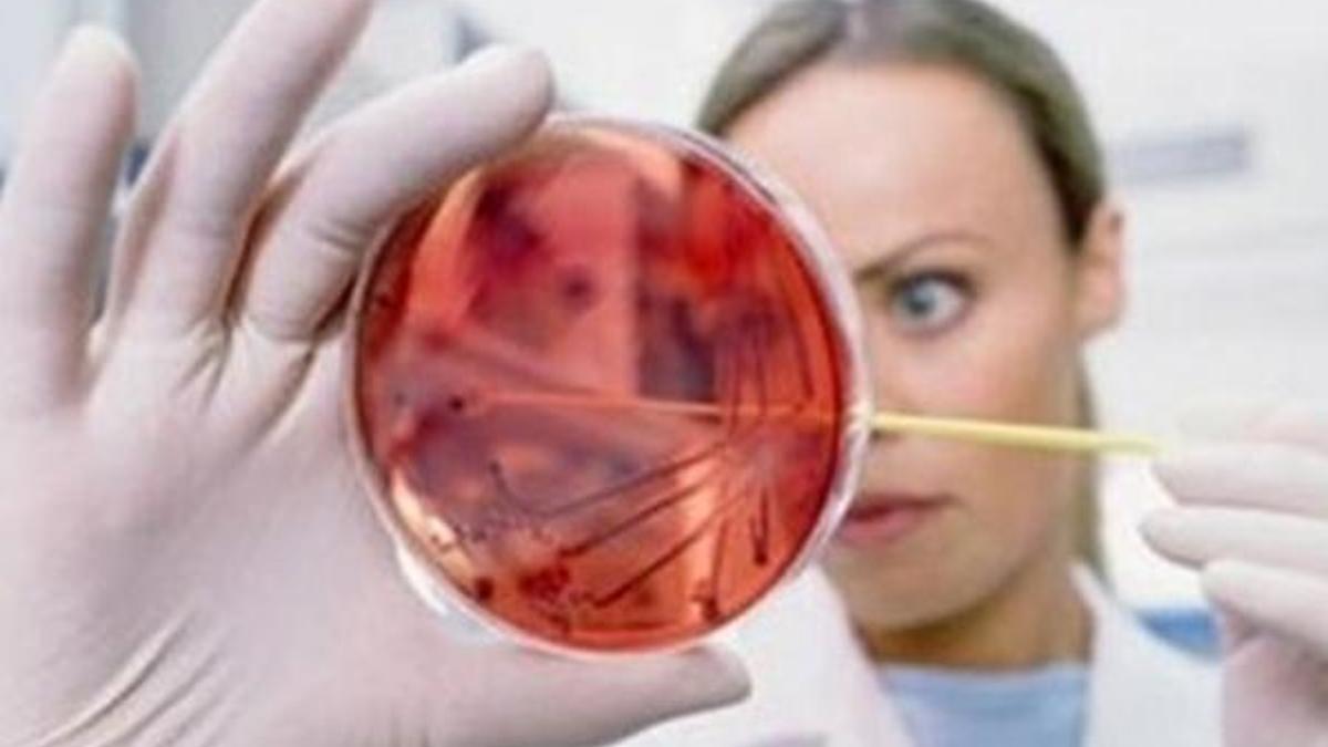 'Hepatit yılda 1,5 milyon can alıyor'