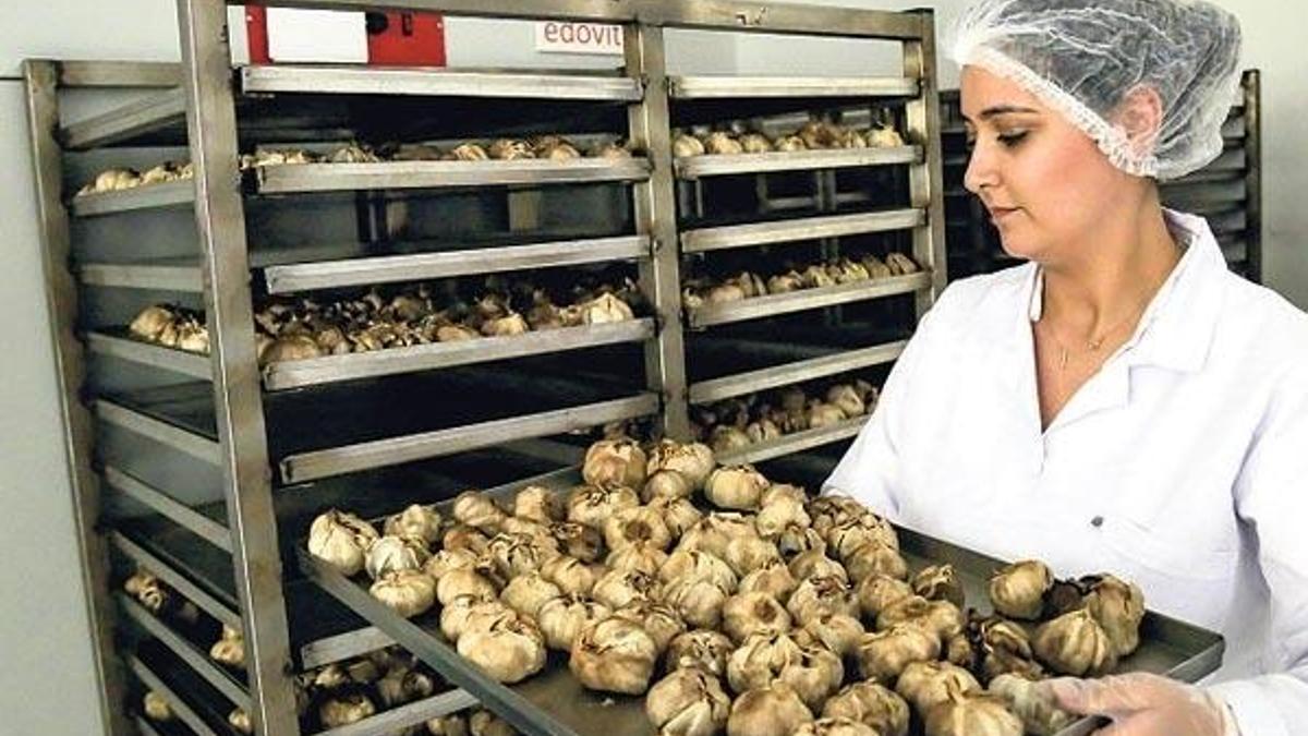 Kilosu 150 liraya siyah sarımsak