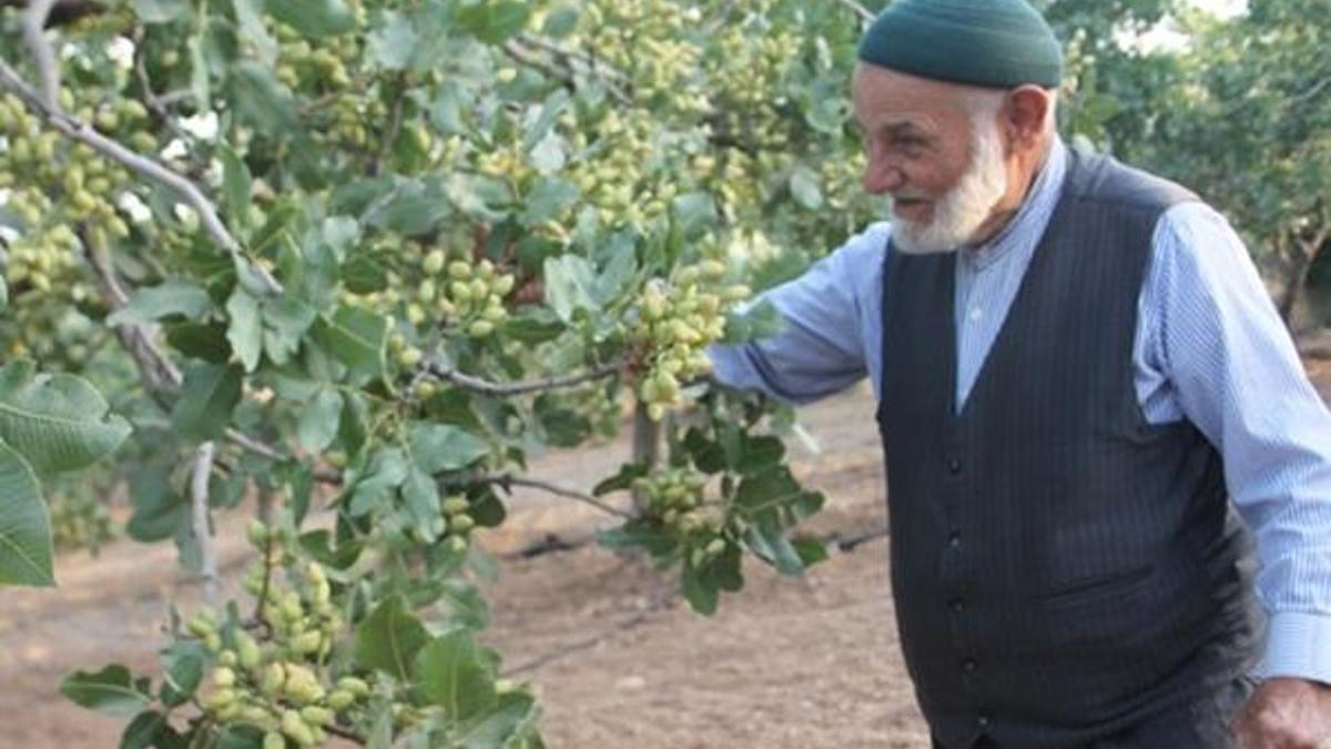 Babasının bir sözünü dinledi, her yıl bir kilo altın alıyor