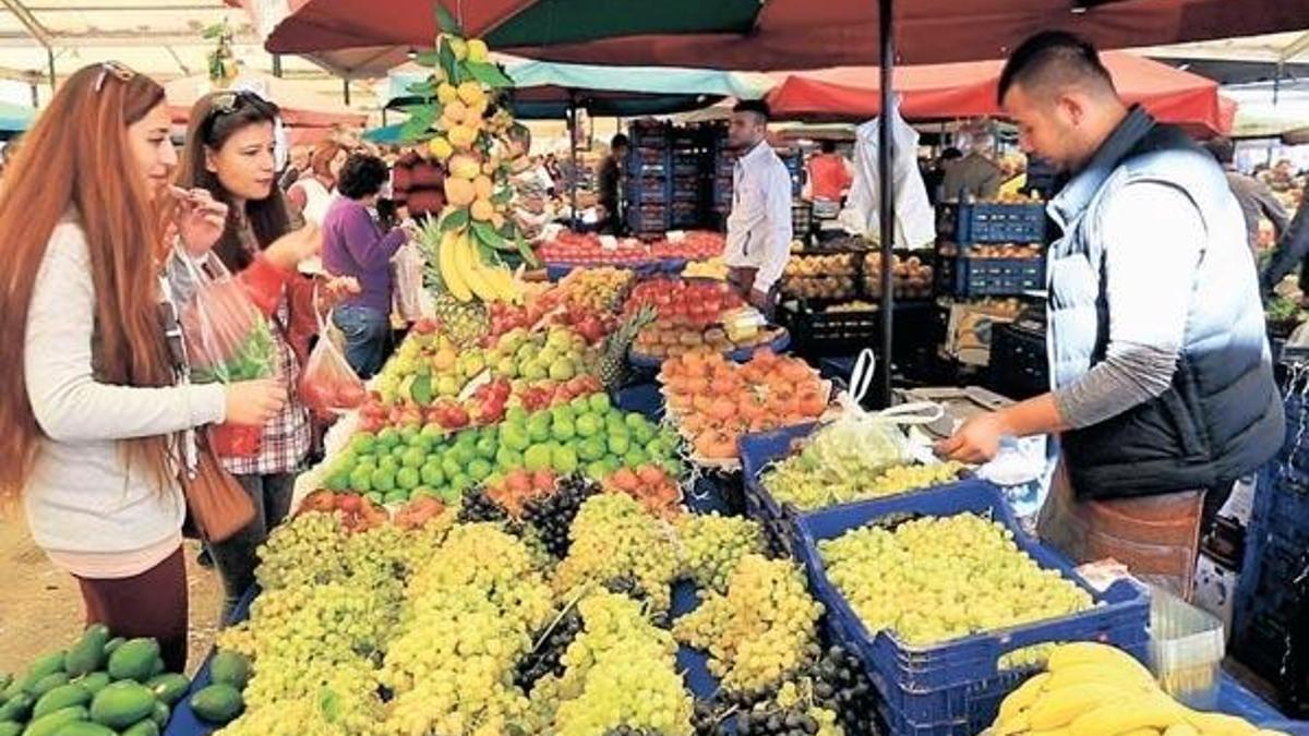 Tek hane provası